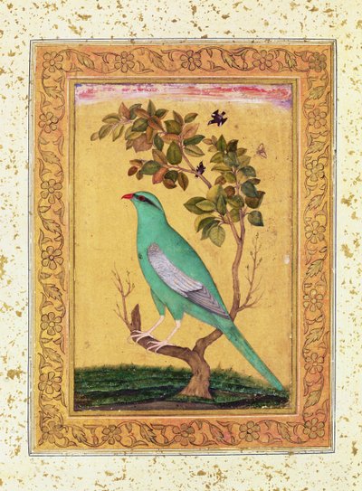 Zelený pták, Mughal od Indian School