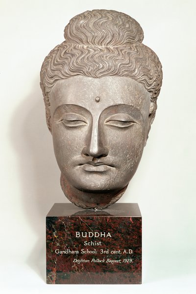Hlava od sochy Buddhy, z Gandhara, severozápadní Indie (šedá břidlice) od Indian School
