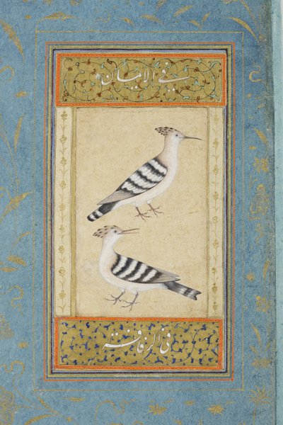 Dudci, cca 1590 (neprůhledné wc a zlato na papíře) od Indian School