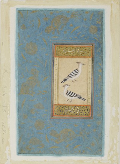 Dudci, cca 1590 (neprůhledné wc a zlato na papíře) od Indian School