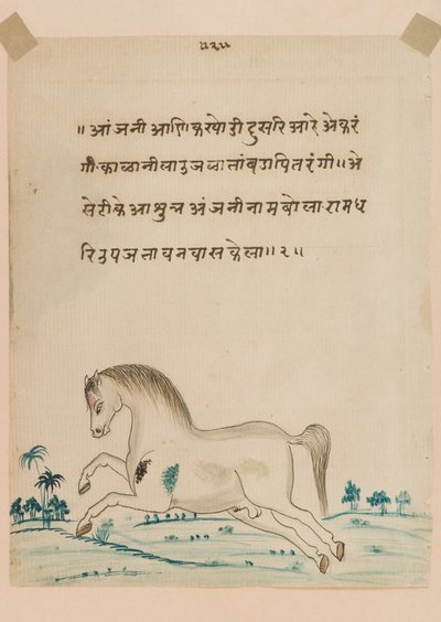 Kůň (neprůhledné wc na papíře) od Indian School