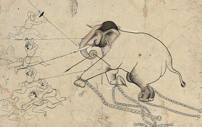 Isarda nebo kotah přípravná kresba zkrocení slona, kolem roku 1720 od Indian School
