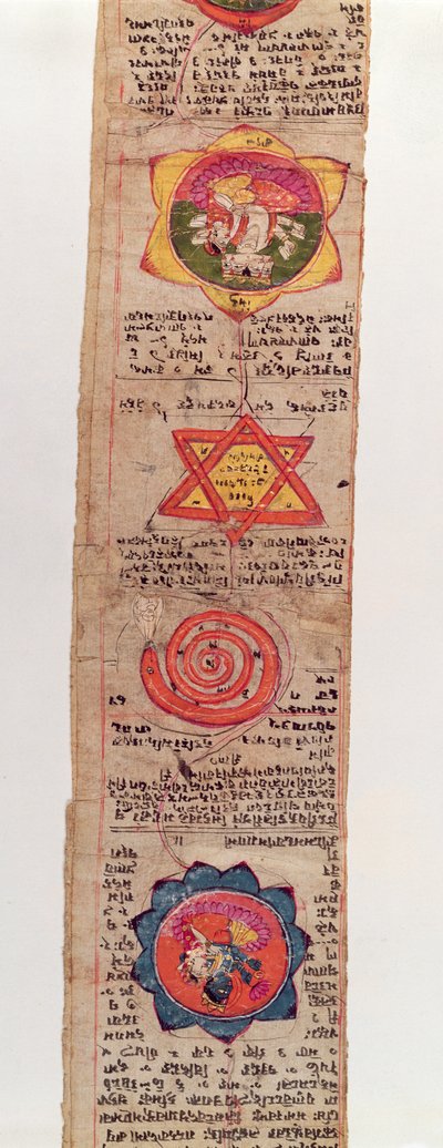 Paní Sanskrit 1804 Sanskritský lékařský rukopis od Indian School