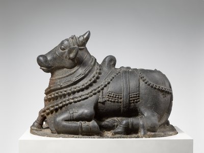nandi (žula) od Indian School