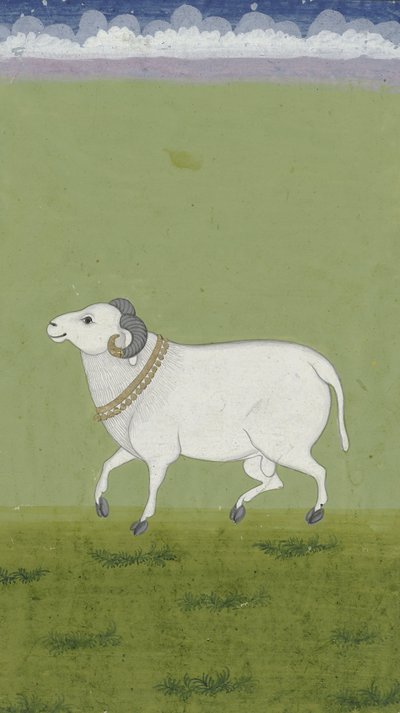 Beran se zlatým límcem, 1700-1799 od Indian School