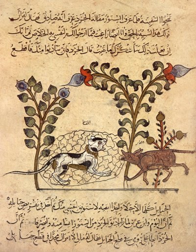 Kočka a krysa, arabská miniatura z knihy "Kalila va dimna" od Indian School