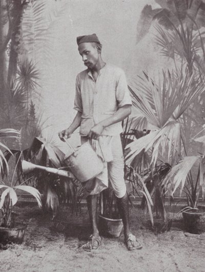 Bombaj / Mumbai: Zahradník (čb fotografie) od Indian photographer