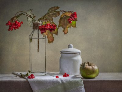  od Inna Karpova