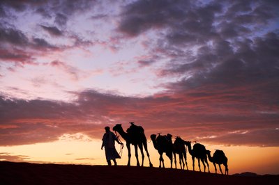 Kamelot vede své velbloudy v poušti Erg Chebbi v Merzouze, Maroko, 2019 (foto) od Ira Block