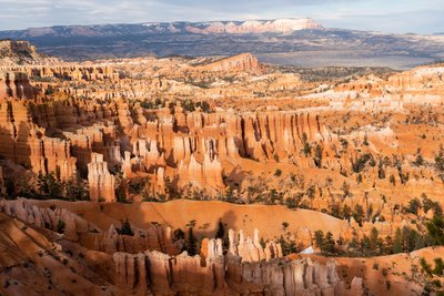 Hoodoos - věže vytvořené erozí - v národním parku Bryce Canyon v Utahu., 2019 (foto) od Ira Block