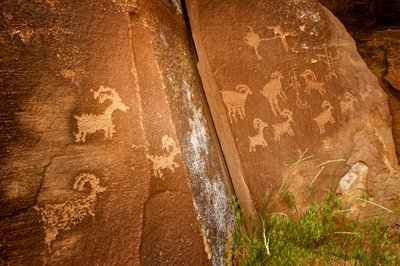 V kaňonu Nine Mile Canyon, panely ovcí poblíž naleziště petroglyfů jeřába popelavého, 2005 (foto) od Ira Block