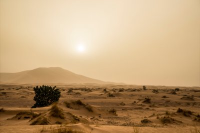 Písečné duny v poušti Erg Chebbi na jihovýchodě Maroka, 2014 (foto) od Ira Block