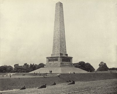 The Wellington Testimonial, Phoenix Park (černobílá fotografie) od Irish Photographer