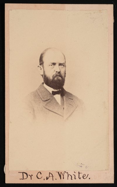 Portrét Charlese Abiathara Whitea 1826-1910, 1868. od Isaac Augustus Wetherby