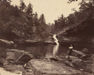Lula Lake, Lookout Mountain, Georgia, 1864-1865. od Isaac H. Bonsall