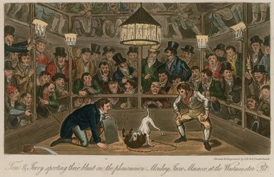 Tom a Jerry se ve Westminster Pit vrhli na fenomén Monkey, Jacco Macacco. od Isaac, Robert and George Cruikshank