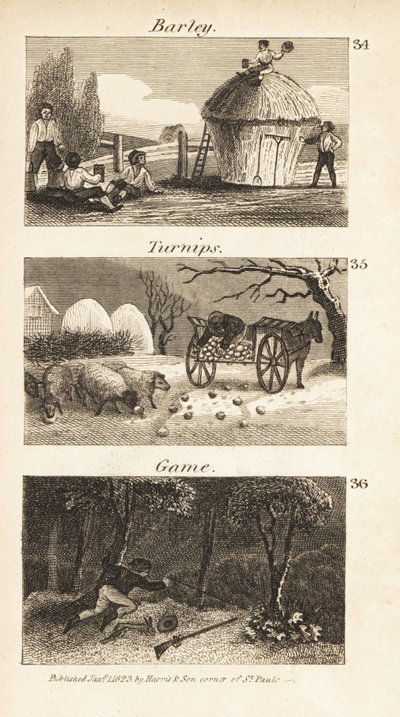Obchoduje v Norfolku, Regency Anglie od Isaac Taylor