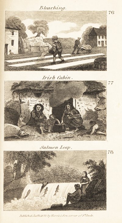 Obchody v Regency Ireland: bělení, irská kabina a lososí skok od Isaac Taylor