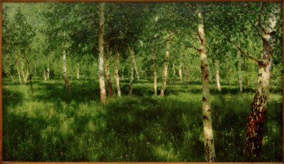 Birkenhain od Isaak Ilyich Levitan