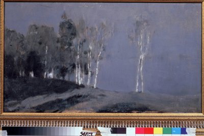 Měsíčná noc. Obraz Isaac (Isaac) Iljič Levitan (1860-1900), olej na plátně, kolem roku 1890. Ruské umění, krajina 19. století. Státní Treťjakovská galerie, Moskva. od Isaak Ilyich Levitan