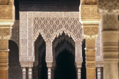 Detail oblouků v Court of Lions (foto) od Islamic School
