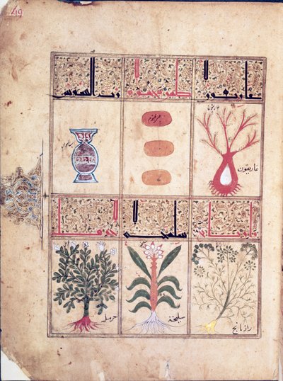 Paní Arabe 2964 fol. 49 Rostliny z Pojednání o Theriacu po Galienovi, 1217 od Islamic School