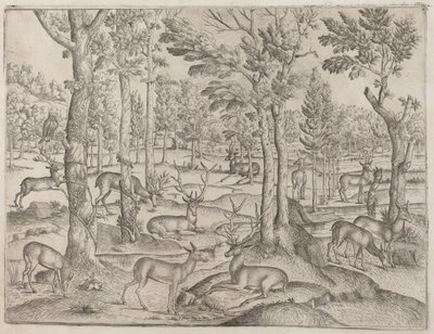 Jelen v lese od Italian 16th Century