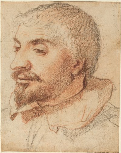 Hlava muže od Italian 17th Century