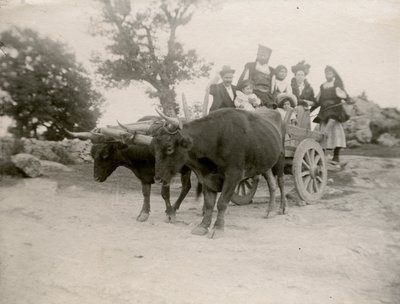 Rodina na voze taženém voly, Sardinie, Itálie, cca 1910 od Italian Photographer
