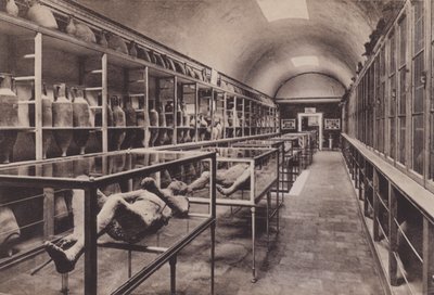 Interno del Museo, interiér muzea (černobílá fotografie) od Italian Photographer