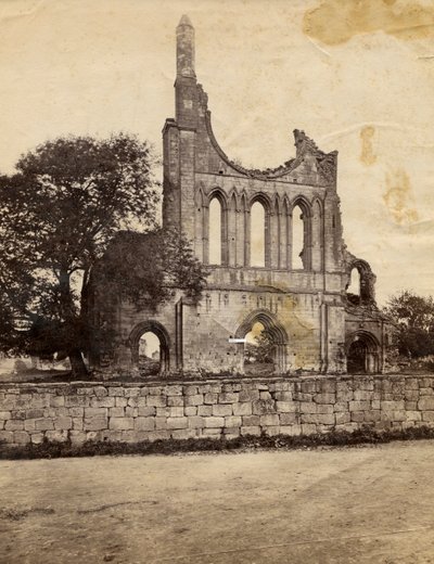 Ruiny opatství Byland, při pohledu ze severozápadu, Spojené království, kolem roku 1890 od Italian Photographer