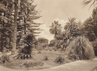Sicílie / Sicílie: Villa Tasca, Palermo (čb fotografie) od Italian Photographer