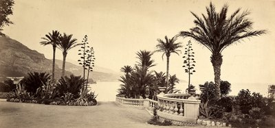Zahrada kasina Monte Carlo, v Monackém knížectví od Italian Photographer