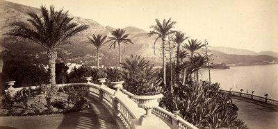 Zahrada kasina Monte Carlo, v Monackém knížectví od Italian Photographer