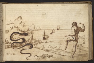 Přidat. 82955, f.115 had (