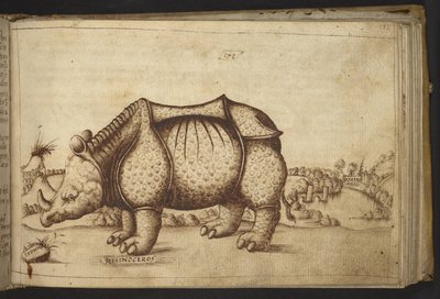Přidat. 82955, f.172 Rhinocerous., z Historia Animalium od Italian School