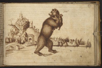 Přidat. 82955, f.199   Medvědi (