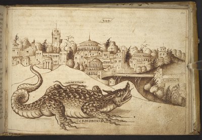 Přidat. 82955, f.243 Krokodýl (