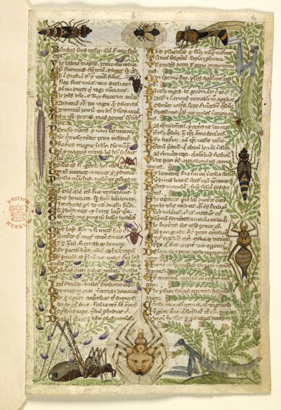 Přidat MS 28841 f.006r Listy z prozaického pojednání o Sedmi neřestí a verš o událostech z dějin Sicílie v době Fridricha II., od Cocharelliho, kolem 1330-40 od Italian School