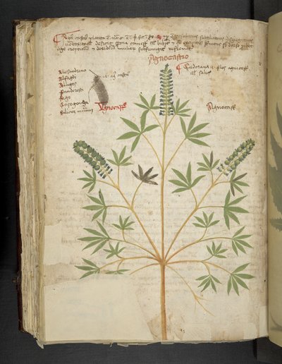 Přidejte MS 41623 f.101v 