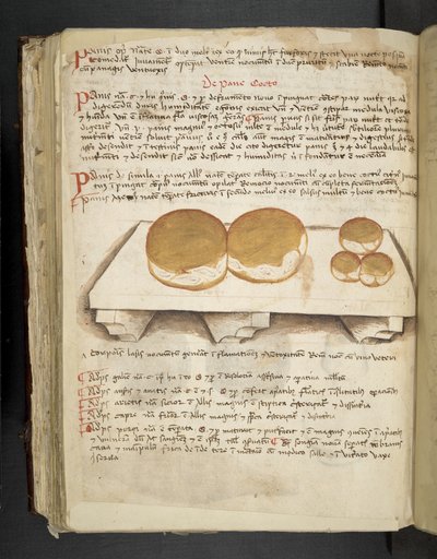 Přidejte MS 41623 f.124v De Pane, od 
