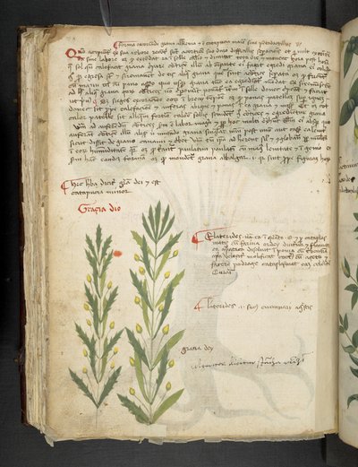 Přidejte MS 41623 f.39v 