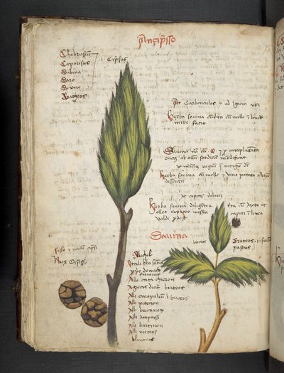 Přidejte MS 41623 f.62v 