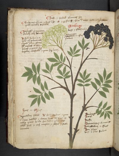Přidejte MS 41623 f.72v 