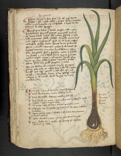 Přidejte MS 41623 f.87v De Porro 