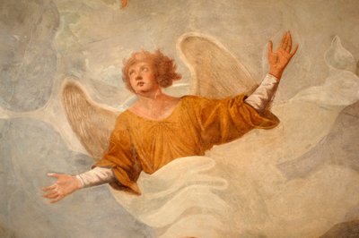 Anděl, detail ze scény ze života svatého Jana (17. století), freska, raně křesťanská křtitelnice, portikus katedrály v Novaře, Piemont, Itálie od Italian School