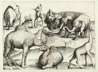 Obrazy zvířat ze starého Říma, Tabulka, 3., nakl. Antonio Lafrere 1528 od Italian School