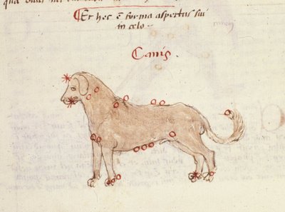 Souhvězdí psa (Canis). Miniatura z "" Astronomica" od Biasino da Parma (Blaise de Parma) (1425-1457) od Italian School