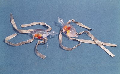 Kopie dvou lékařských teploměrů z Museo di Storia della Scienza ve Florencii (sklo a stuha) od Italian School