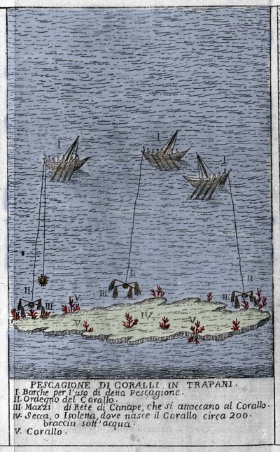 Lov korálů v zálivu Trapani na Sicílii, reprezentace malých podmořských ostrůvků, kde se tvoří korálové sudy. Rytina z ""Stato Presente della Sicilia"" od Arcangela Leanti, Palermo 1761 od Italian School